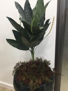Rosi_Barcelos_Arquitetura_e_Decoracao_Niterói_plantas_dentro_de_casa_palmeira_metálica