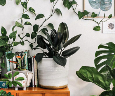 Rosi_Barcelos_Arquitetura_e_Decoracao_Niterói_plantas_dentro_de_casa