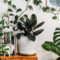 Rosi_Barcelos_Arquitetura_e_Decoracao_Niterói_plantas_dentro_de_casa